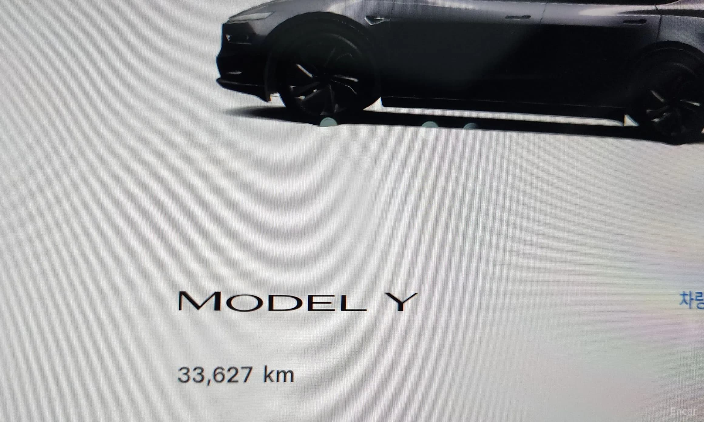 Model Y