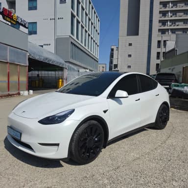 Model Y