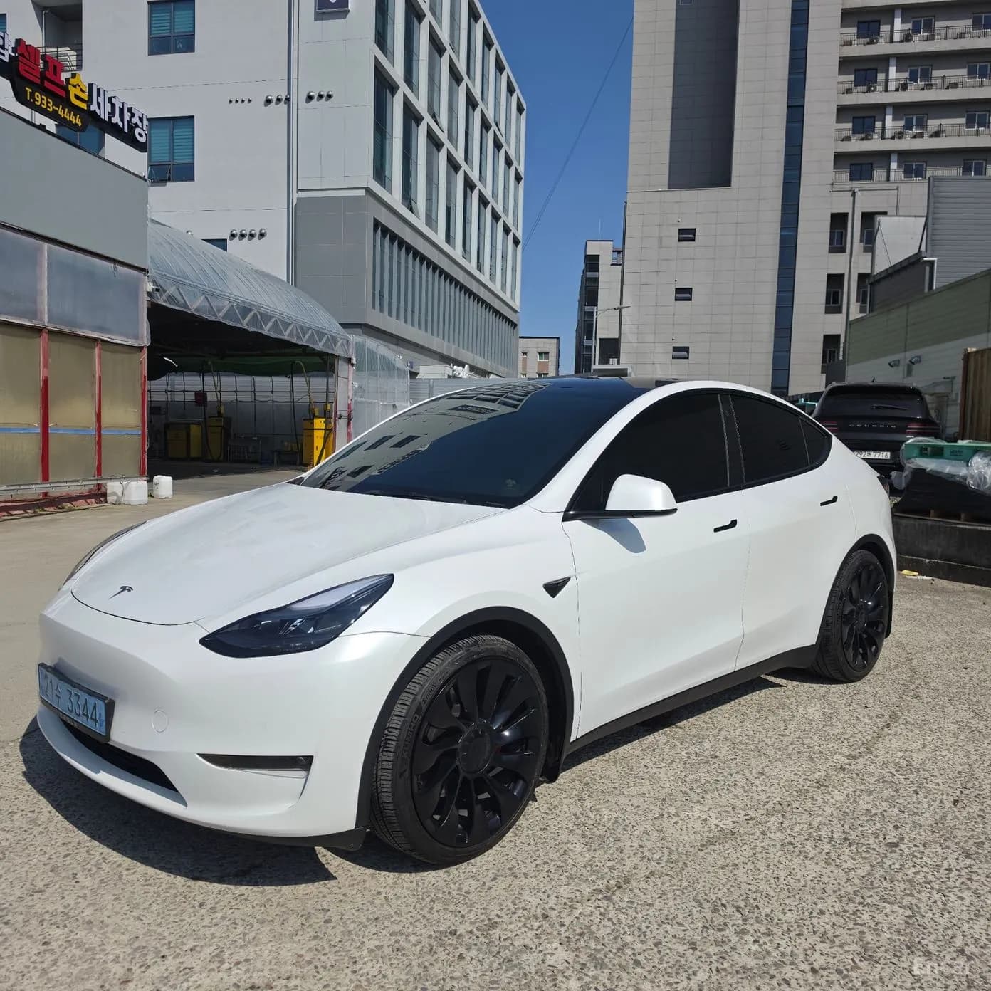 Model Y