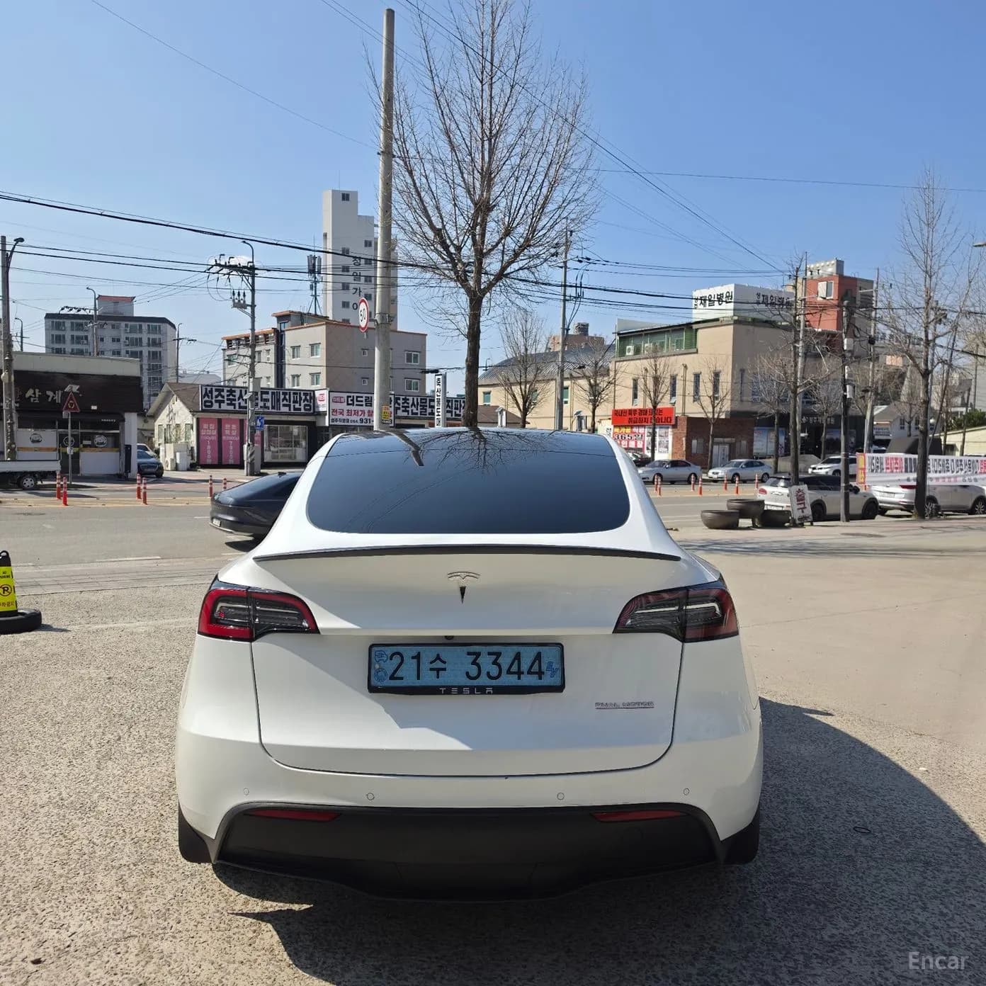 Model Y