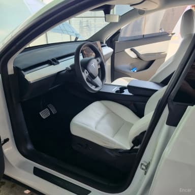 Model Y