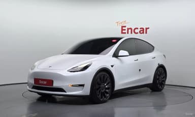 Model Y