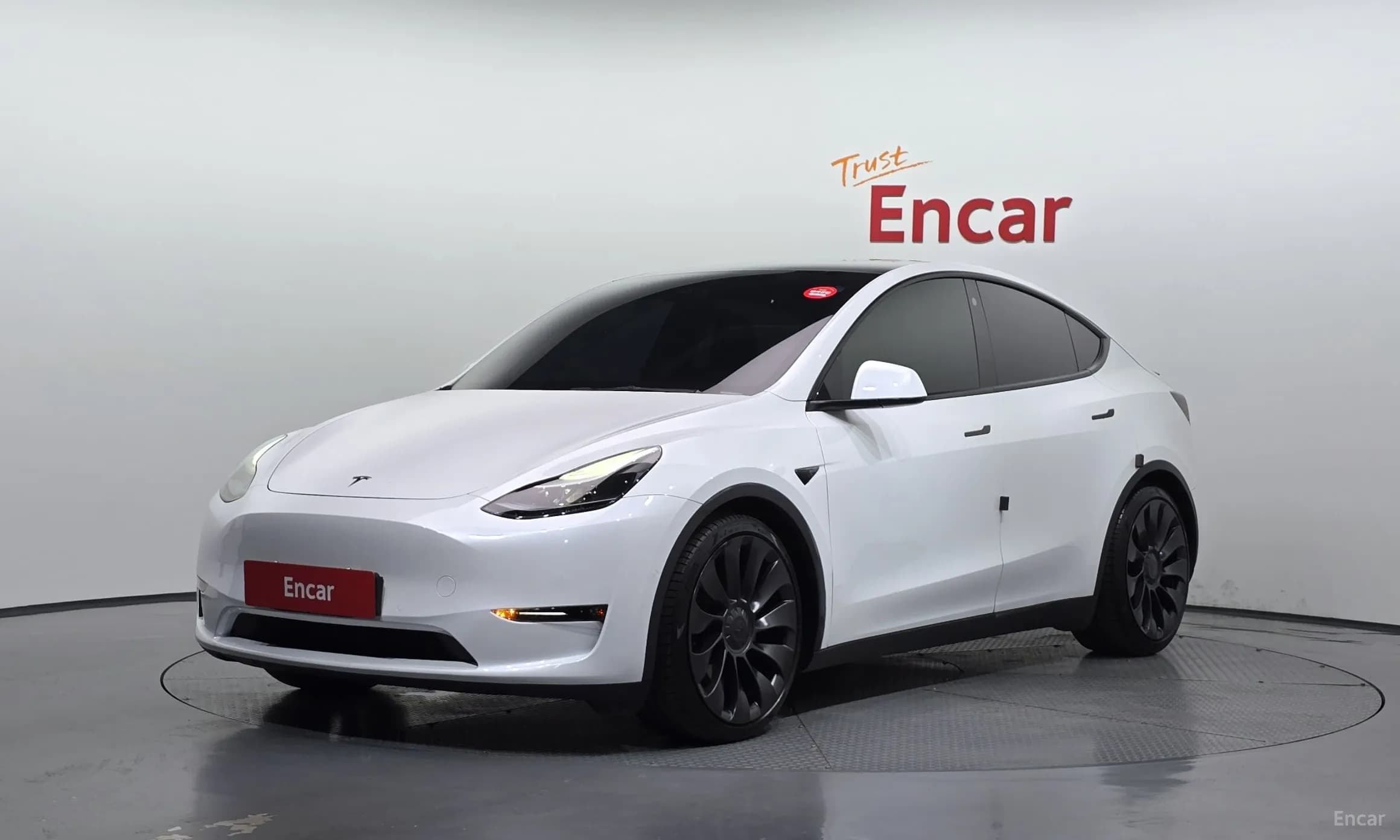 Model Y