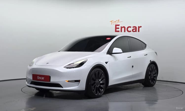 Model Y