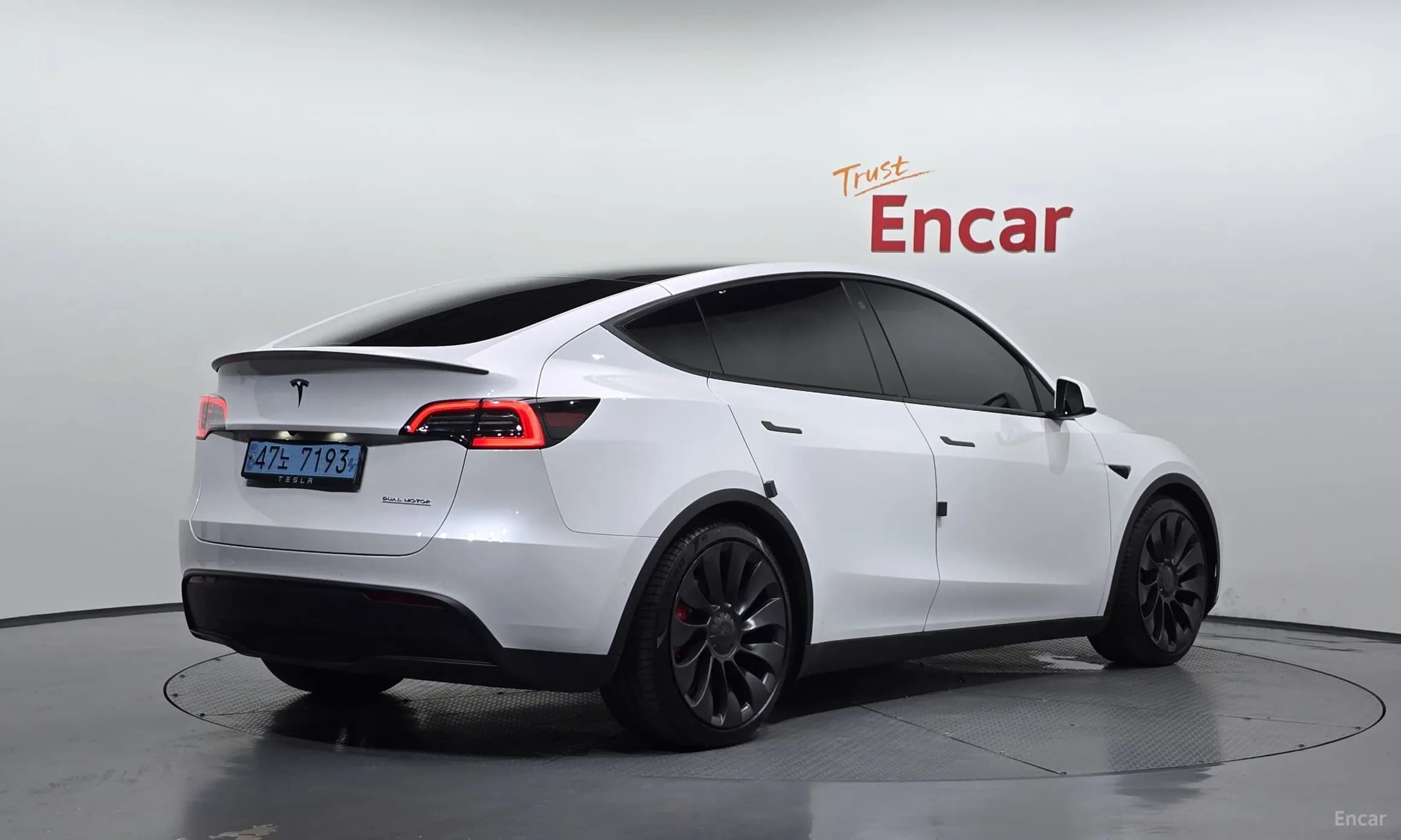 Model Y