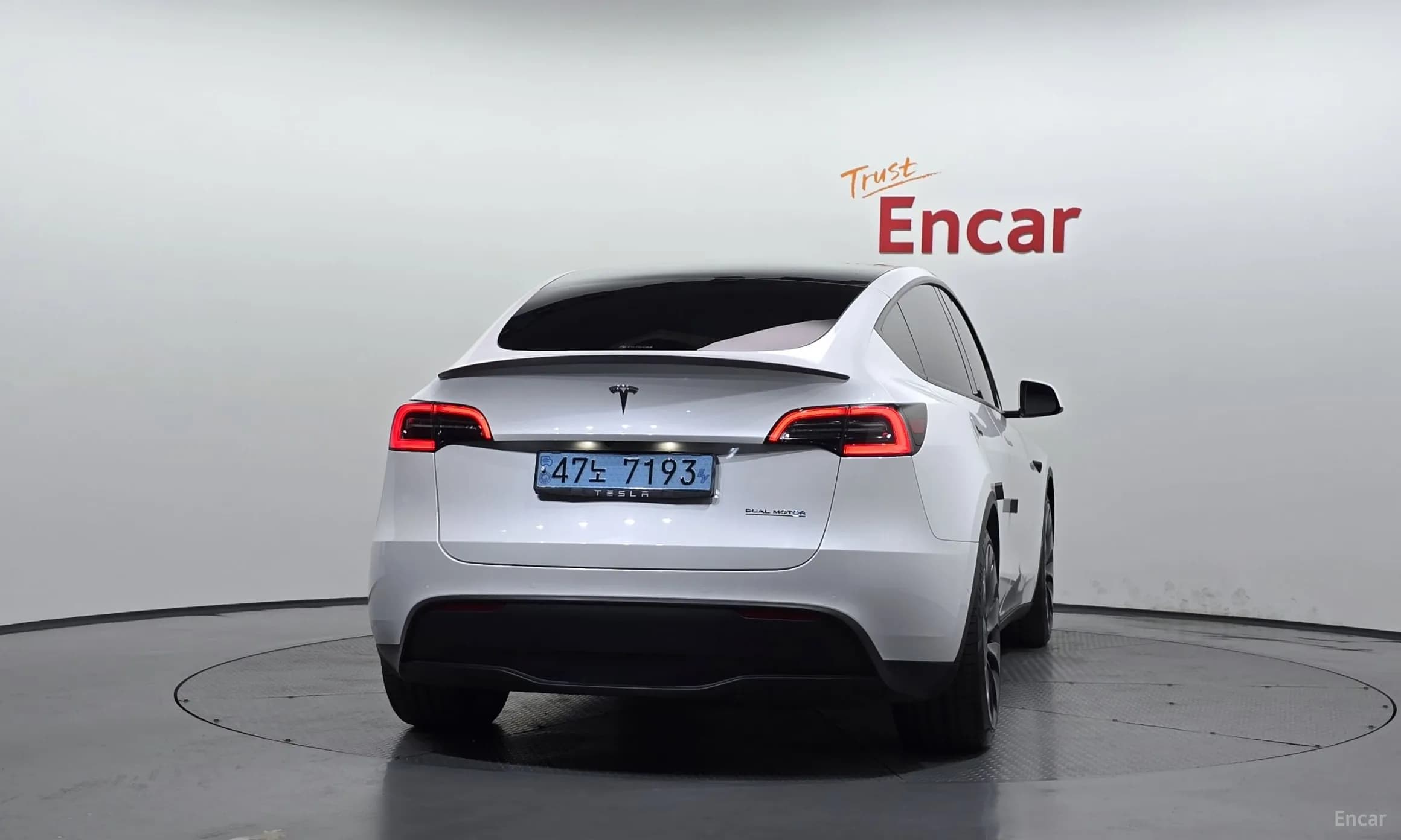 Model Y