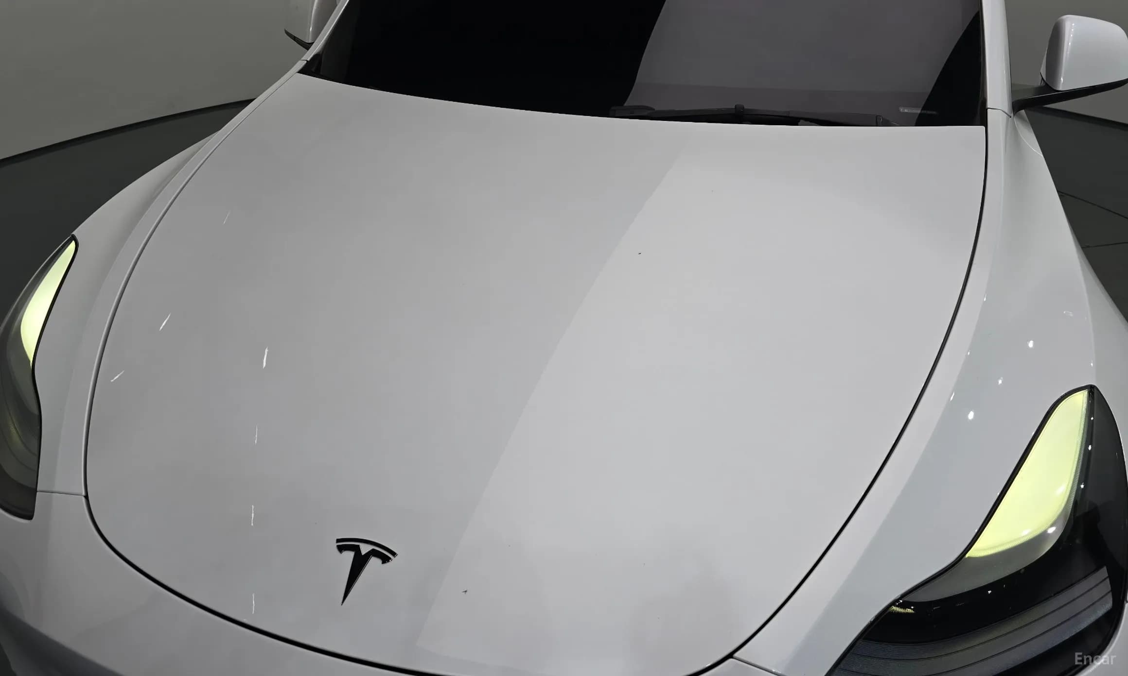 Model Y