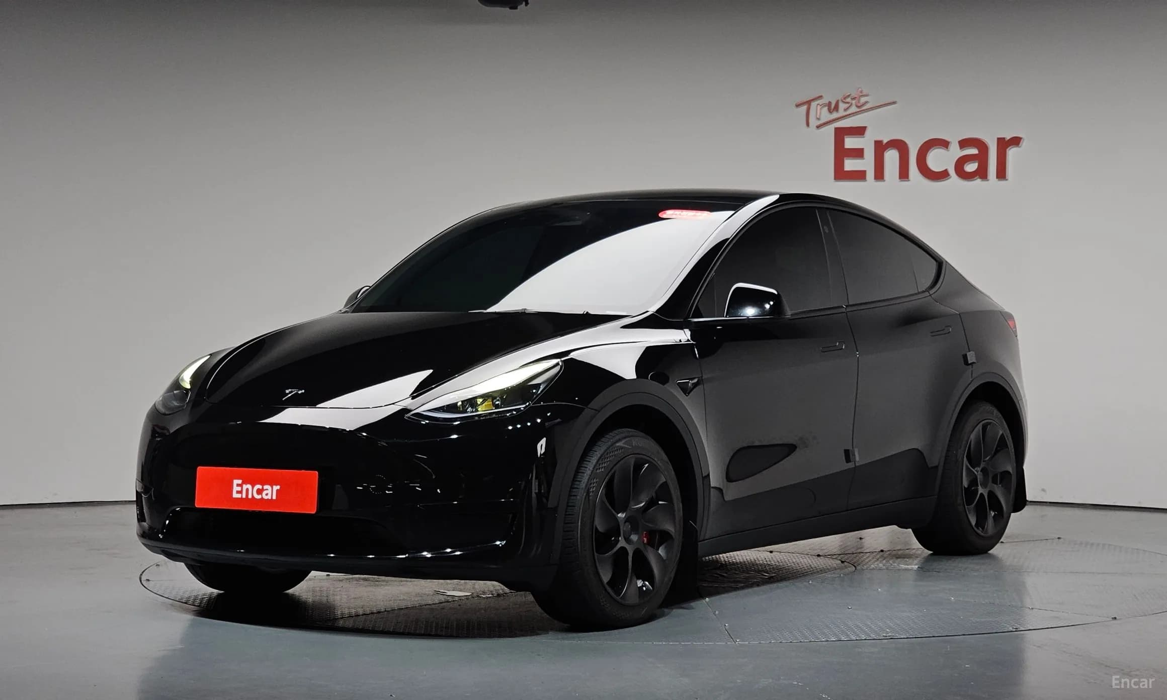 Model Y