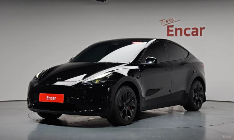 Model Y