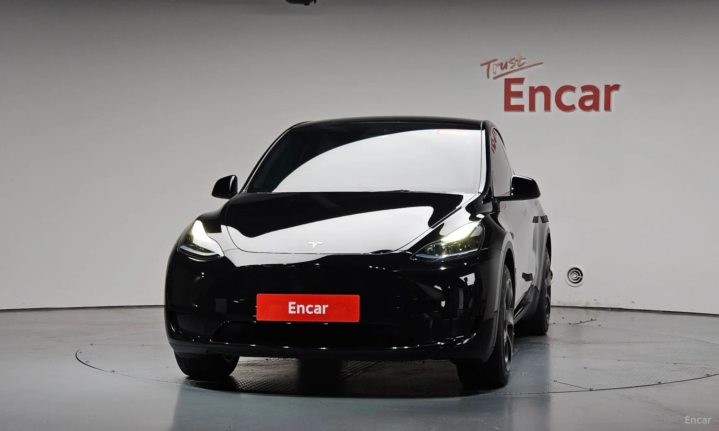 Model Y