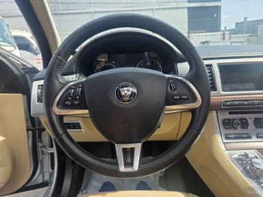 New XF