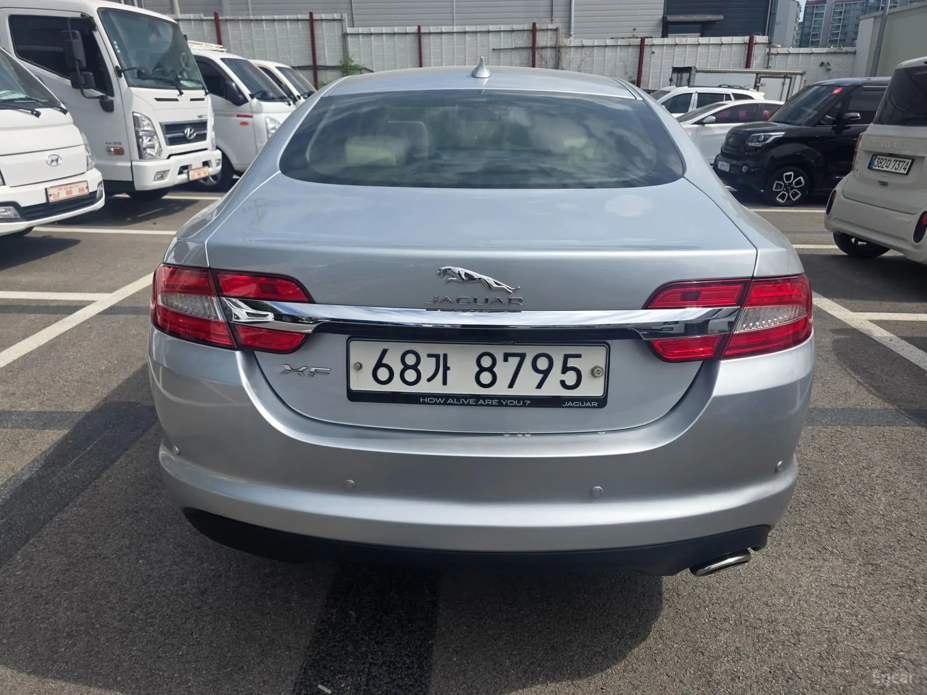 New XF