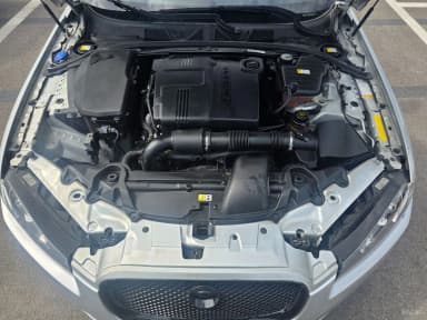 New XF