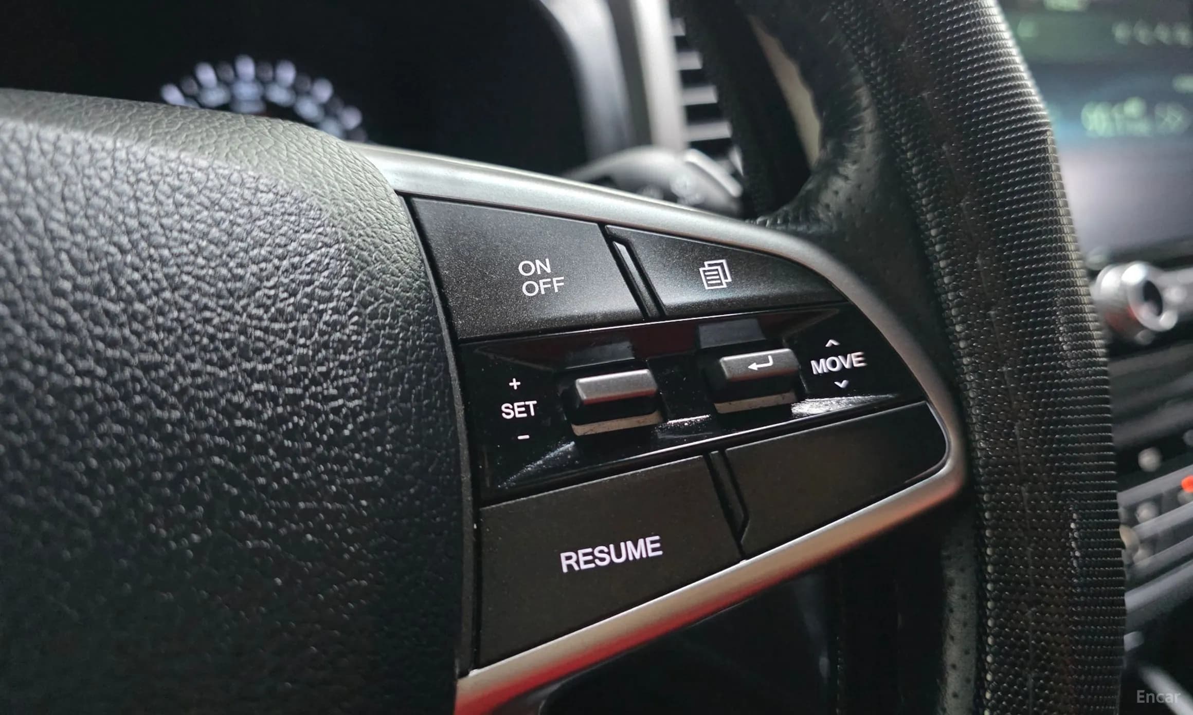 Rexton Sports