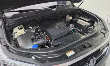 Rexton Sports