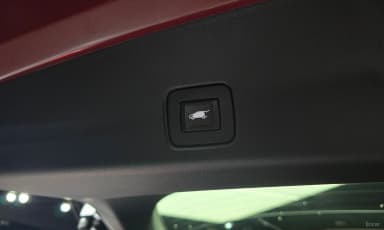 TrailBlaizer