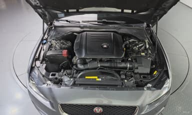 XE