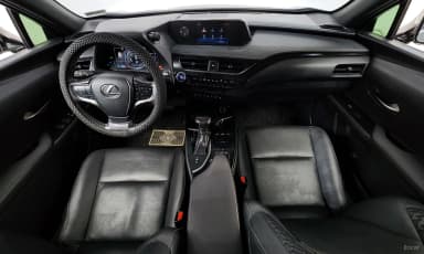 UX250h