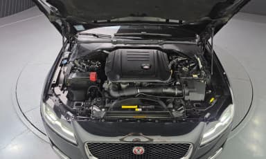 XF (x260)
