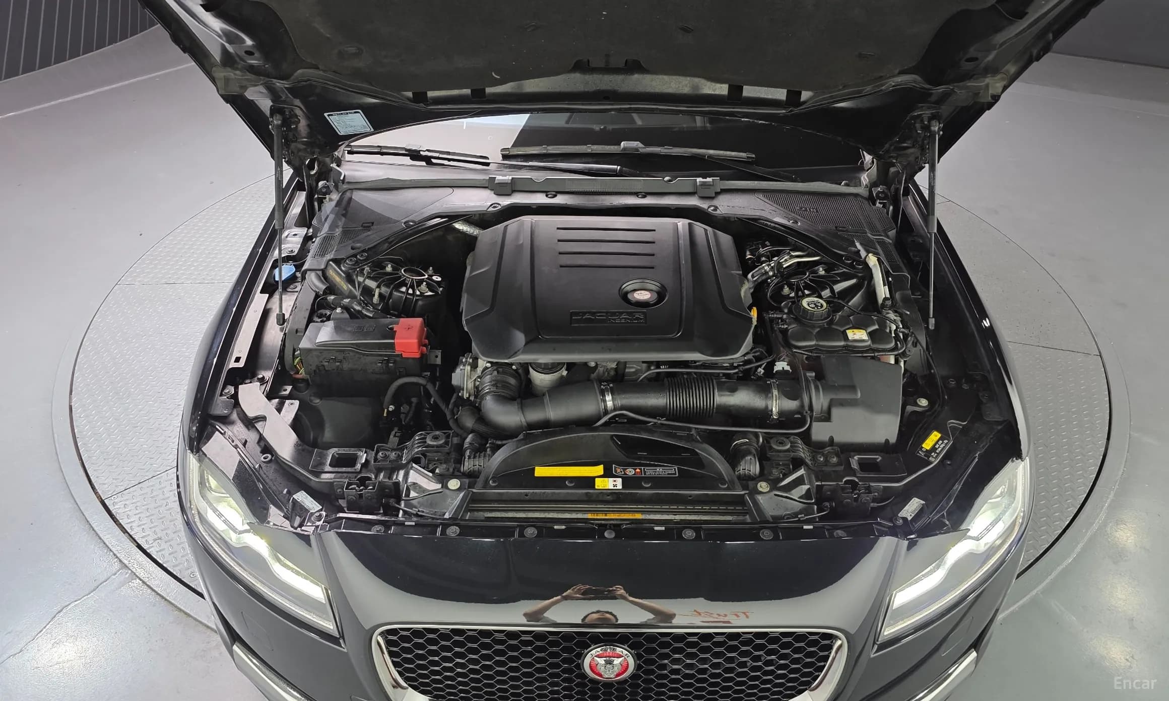 XF (x260)