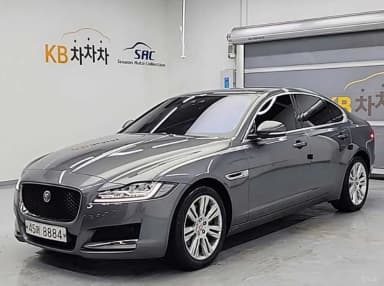 XF (x260)