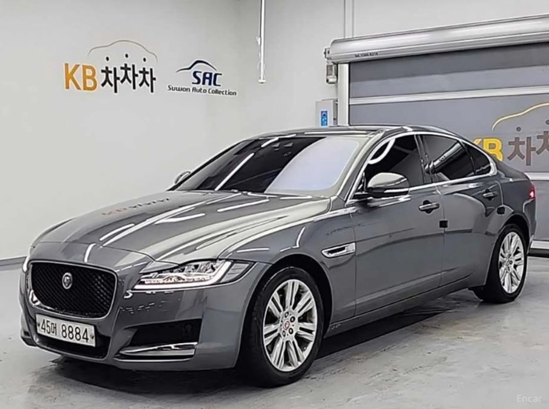 XF (x260)