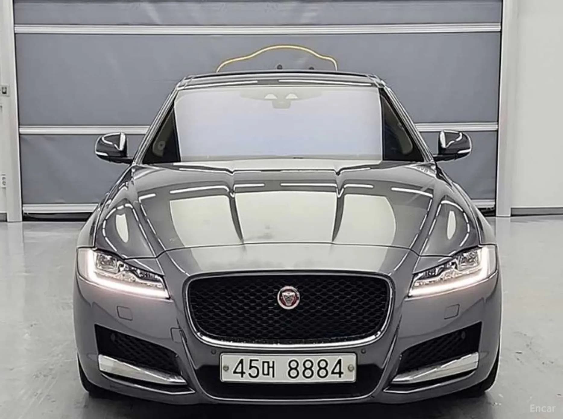 XF (x260)