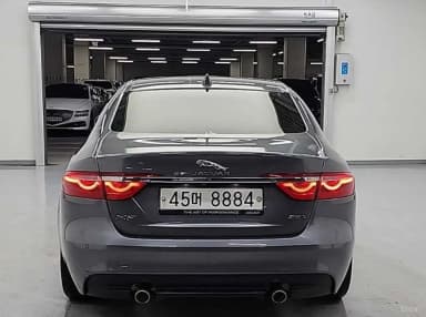 XF (x260)