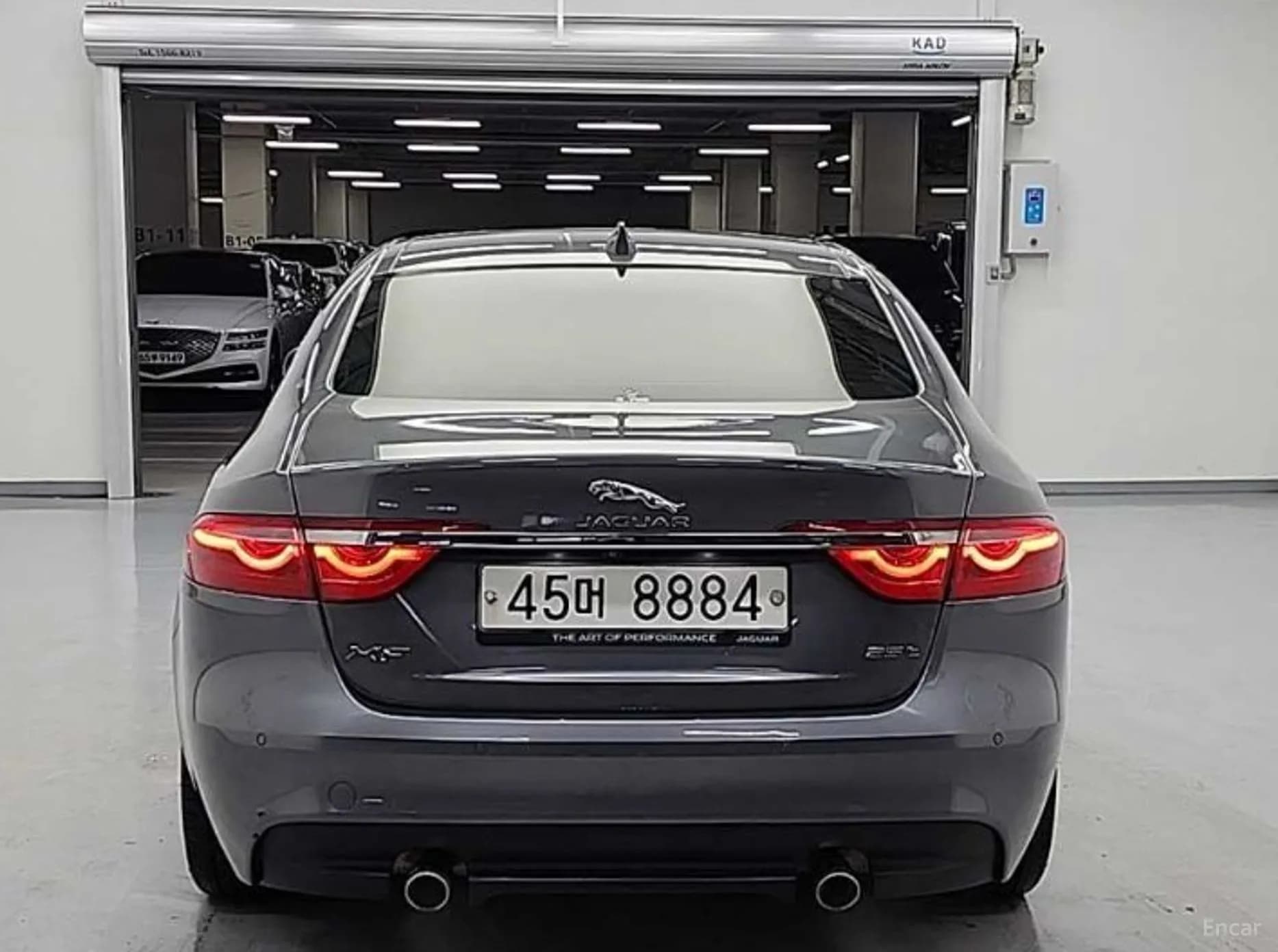 XF (x260)