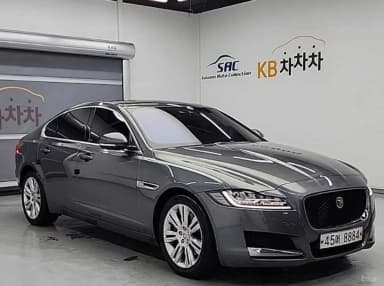 XF (x260)