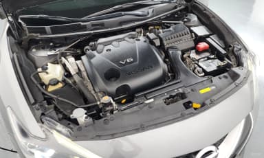 Maxima (A36)