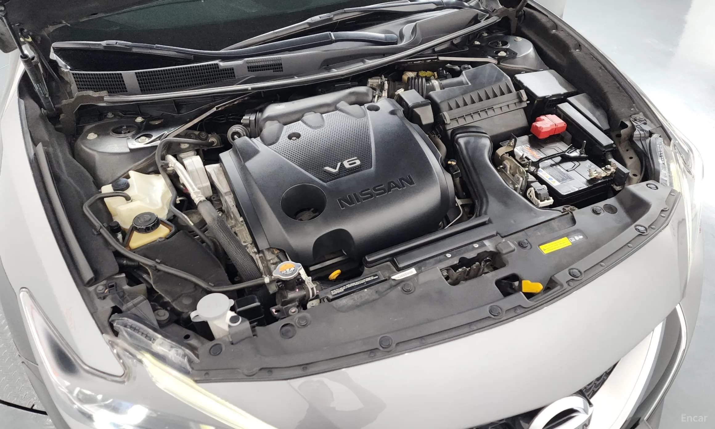 Maxima (A36)