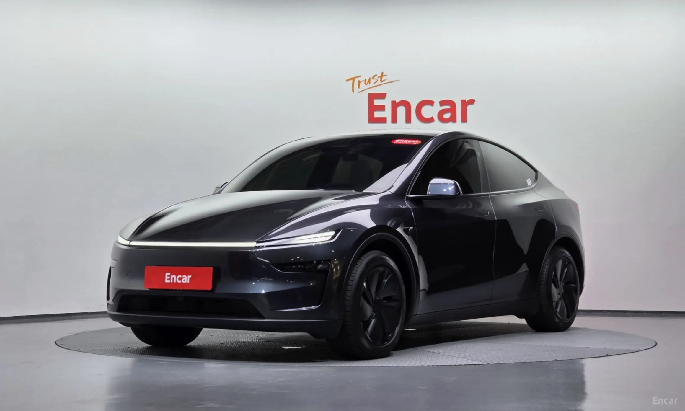 Model Y