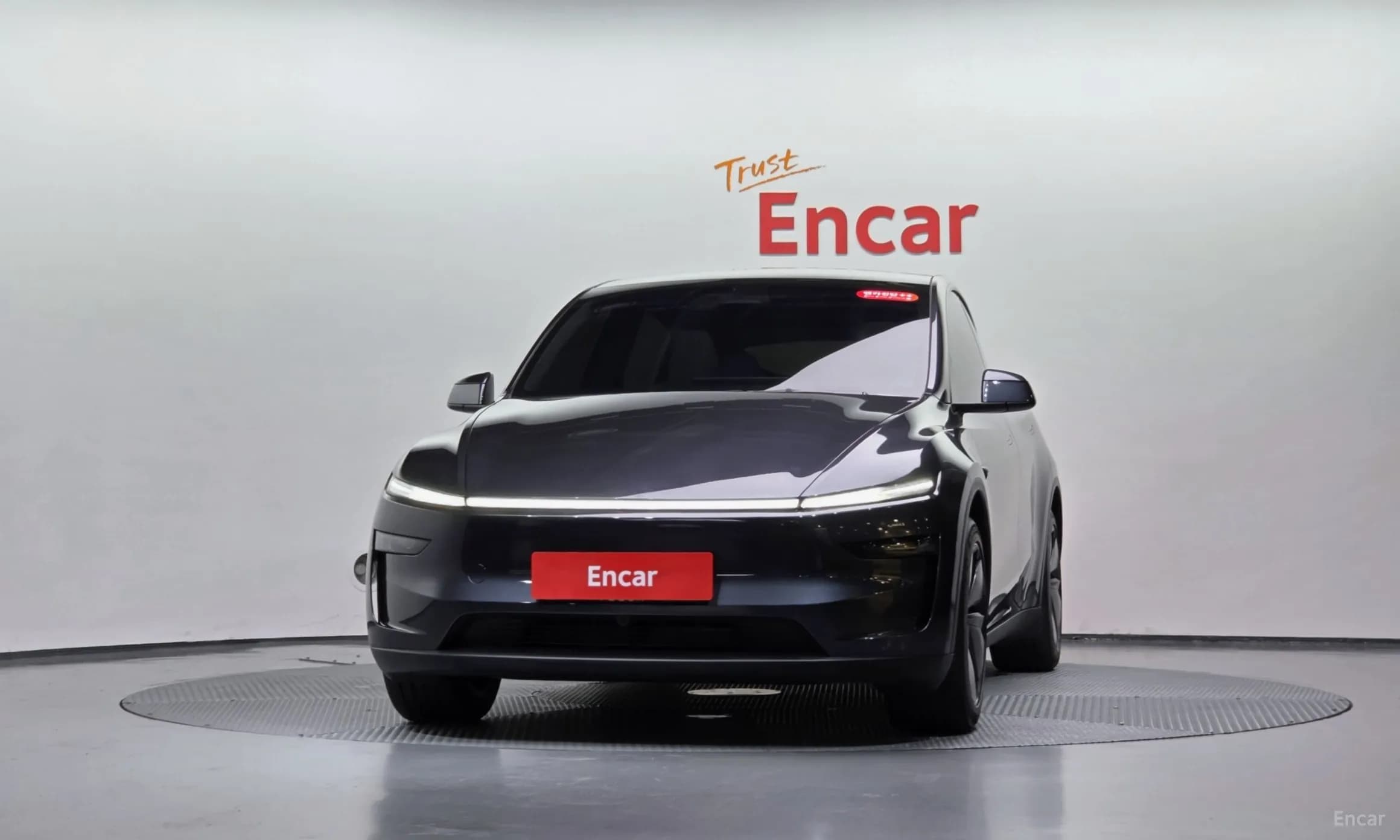 Model Y