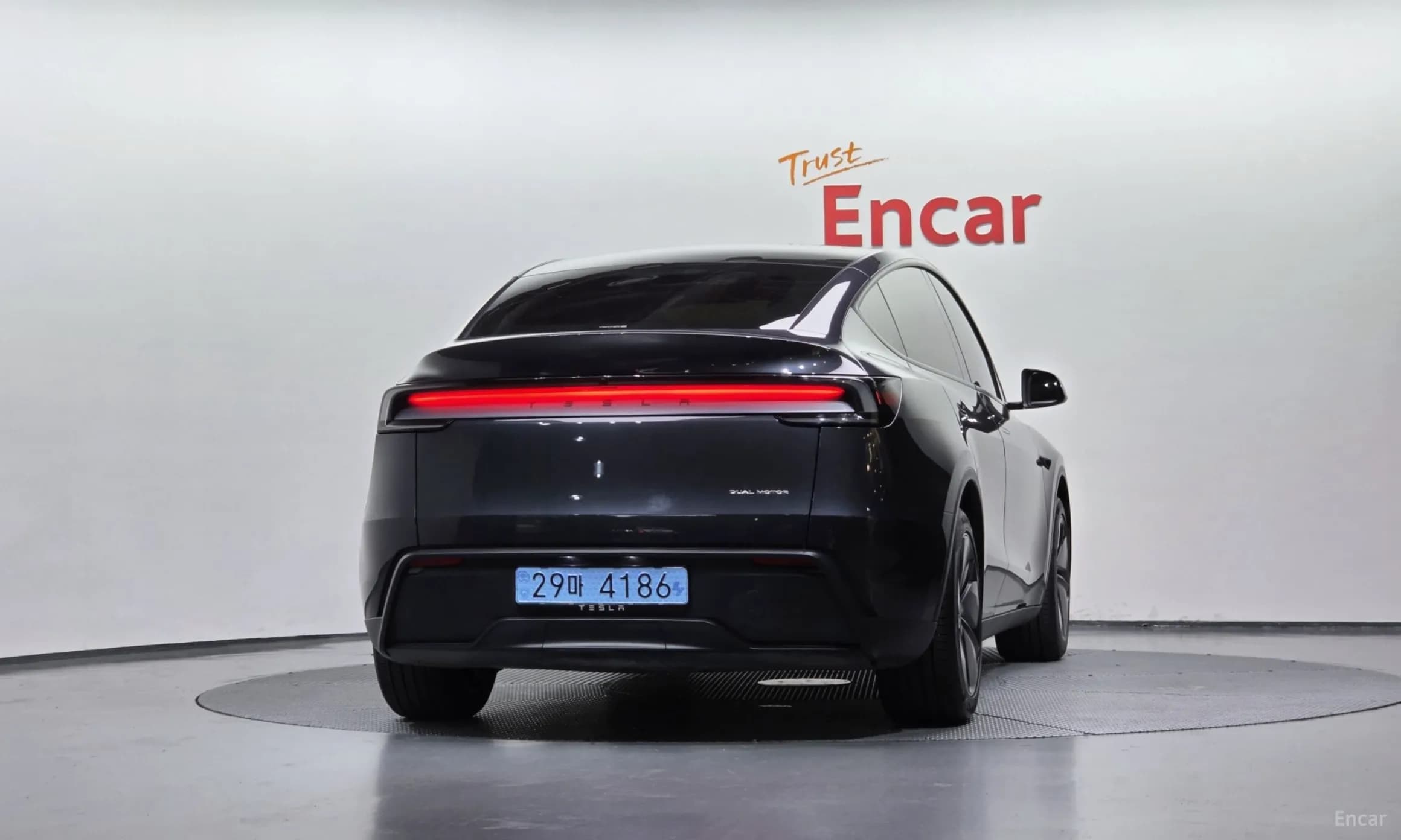 Model Y