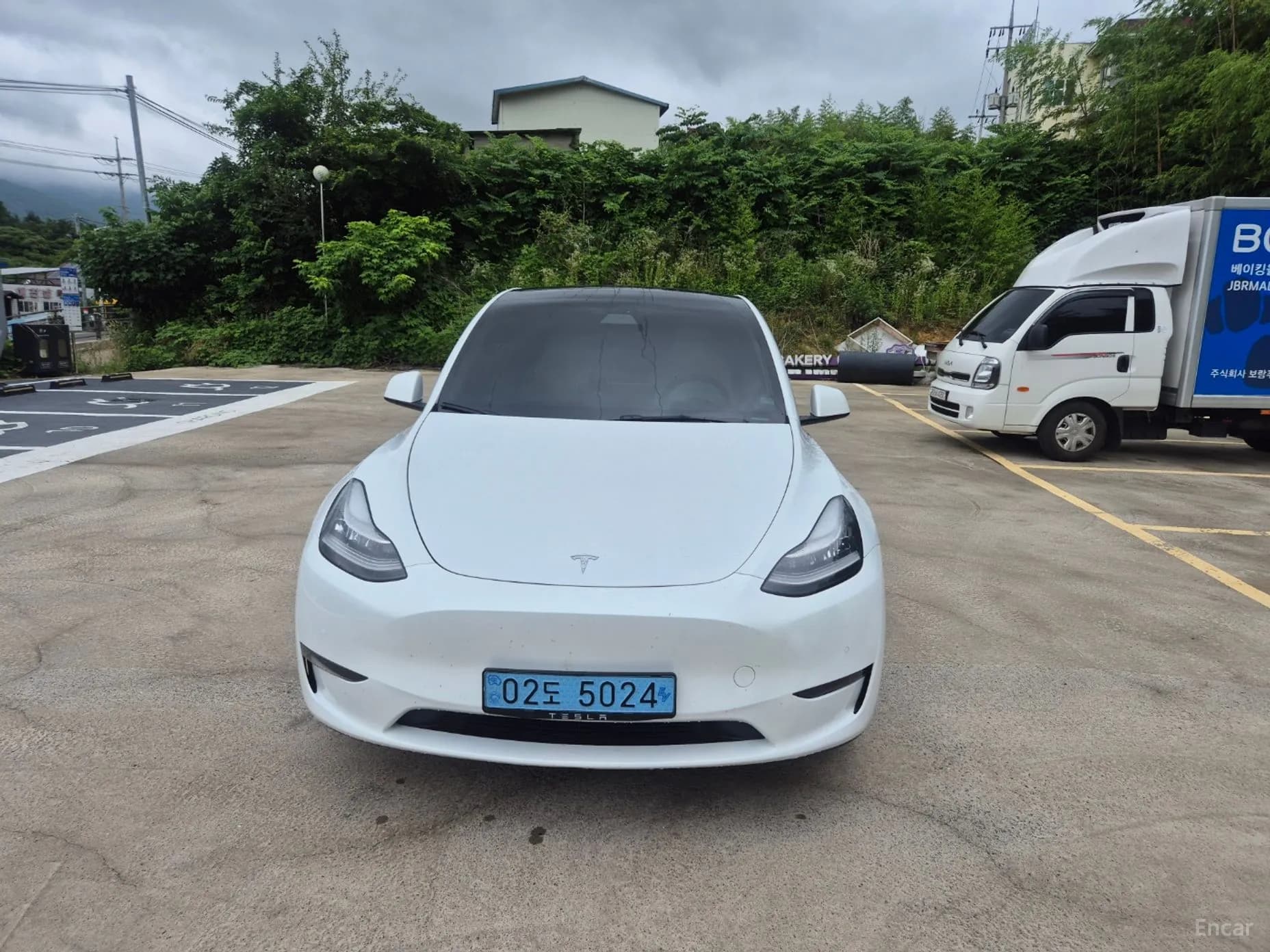 Model Y