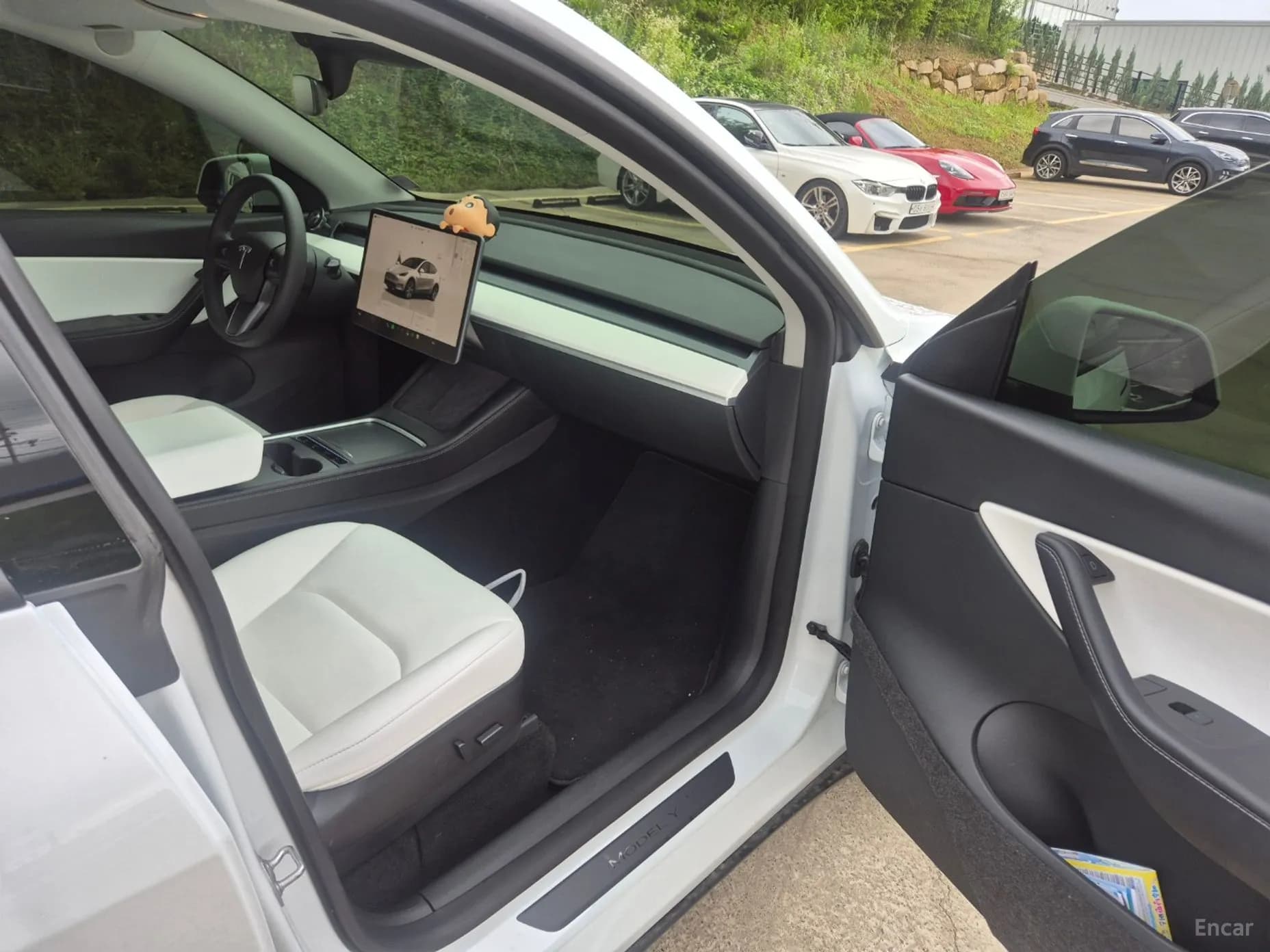 Model Y