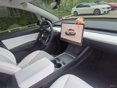 Model Y
