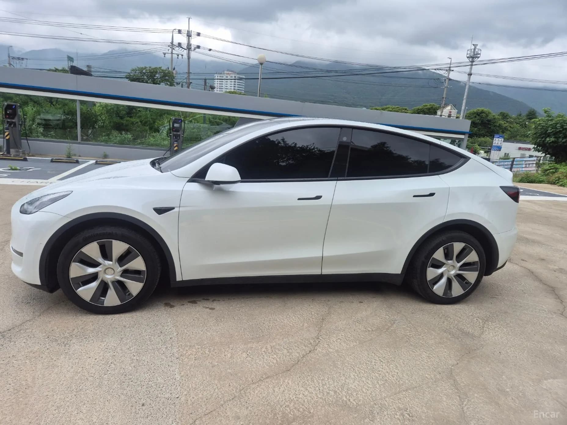 Model Y