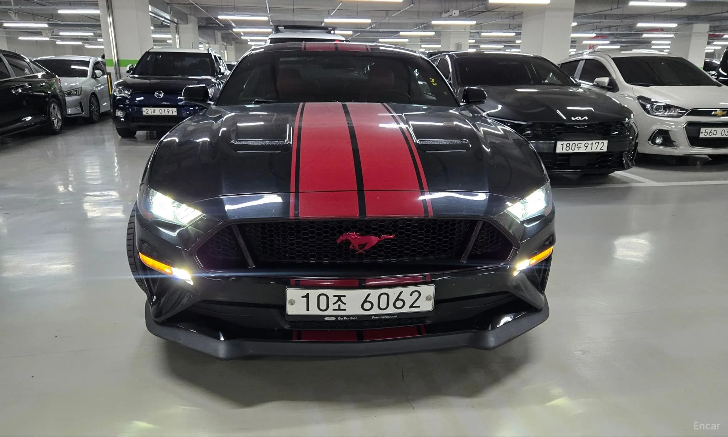 Mustang