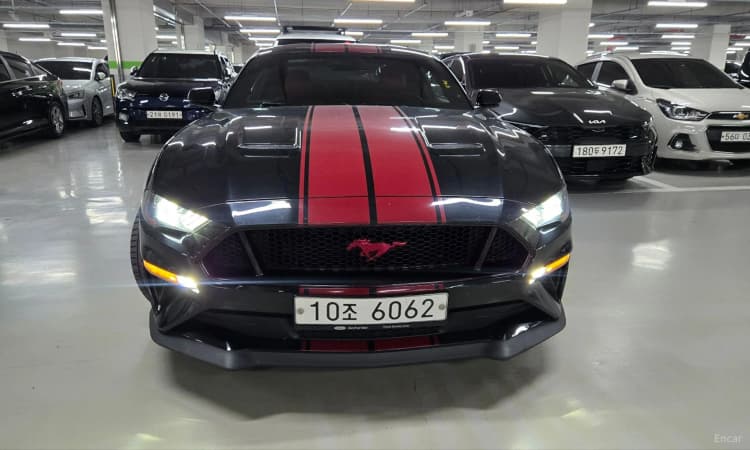 Mustang
