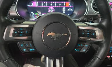 Mustang