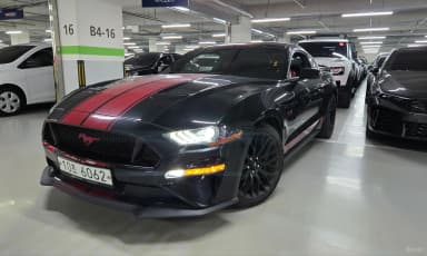 Mustang