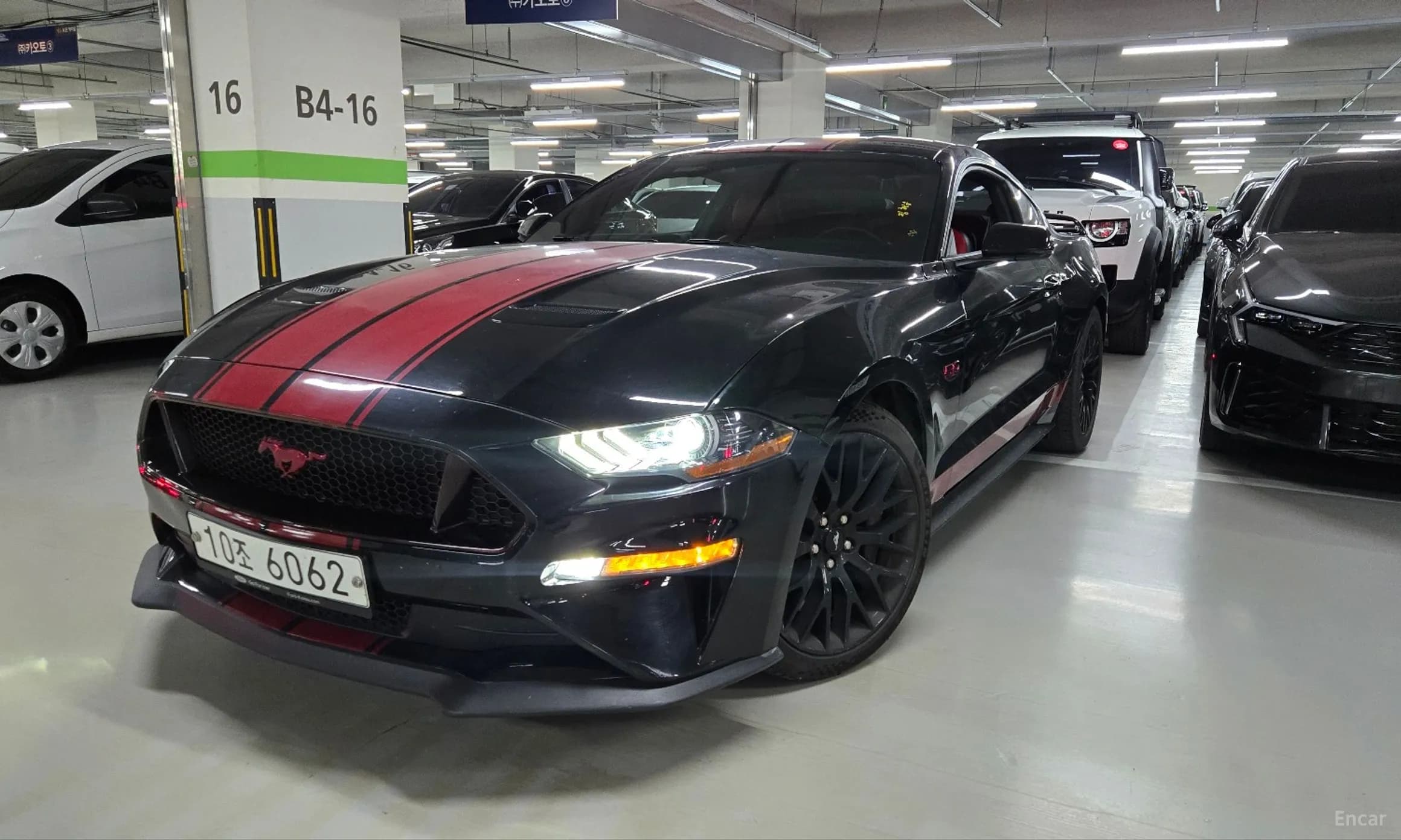 Mustang