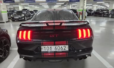 Mustang