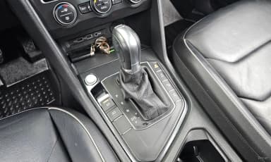 Tiguan 2nd Generation