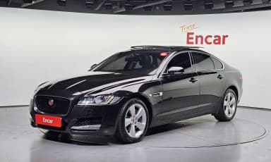 XF (x260)