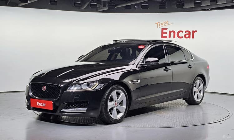 XF (x260)