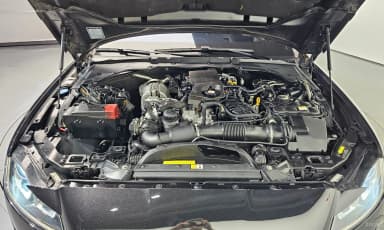 XF (x260)