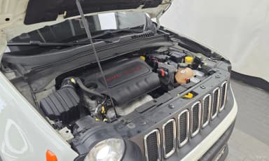 Renegade